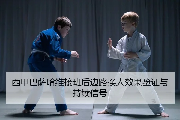 xi-jia-ba-sa-ha-wei-jie-ban-hou-bian-lu-huan-ren-xiao-guo-yan-zheng-yu-chi-xu-xin-hao-2-416.jpg