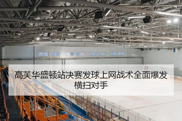 gao-fu-hua-sheng-dun-zhan-jue-sai-fa-qiu-shang-wang-zhan-shu-quan-mian-bao-fa-heng-sao-dui-shou-2-201.jpg