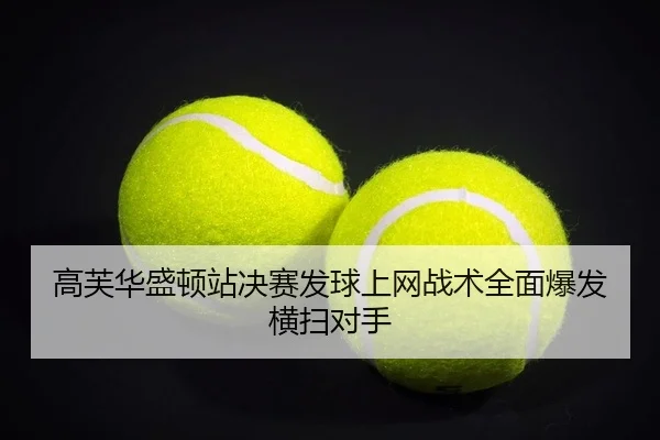 高芙华盛顿站决赛发球上网战术全面爆发横扫对手